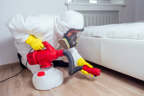 Best Wasp Removal Services  in Georgetown, IL